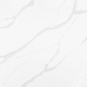 Calacatta Plata Calacatta Plata