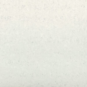 Cassiopeia Cassiopeia